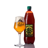 Пиво Imperial IPA Overlord 1 л 